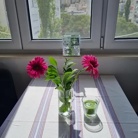 Vinka * スプリト